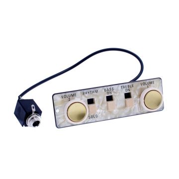 Hofner Spares Bass Control Panel & Wired Jack Socket 62/63