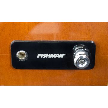 Fishman INK 300 / 600 Battery Cover