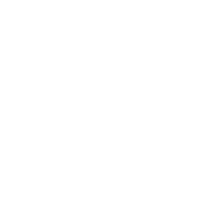 Faith Guitars Spare Parts